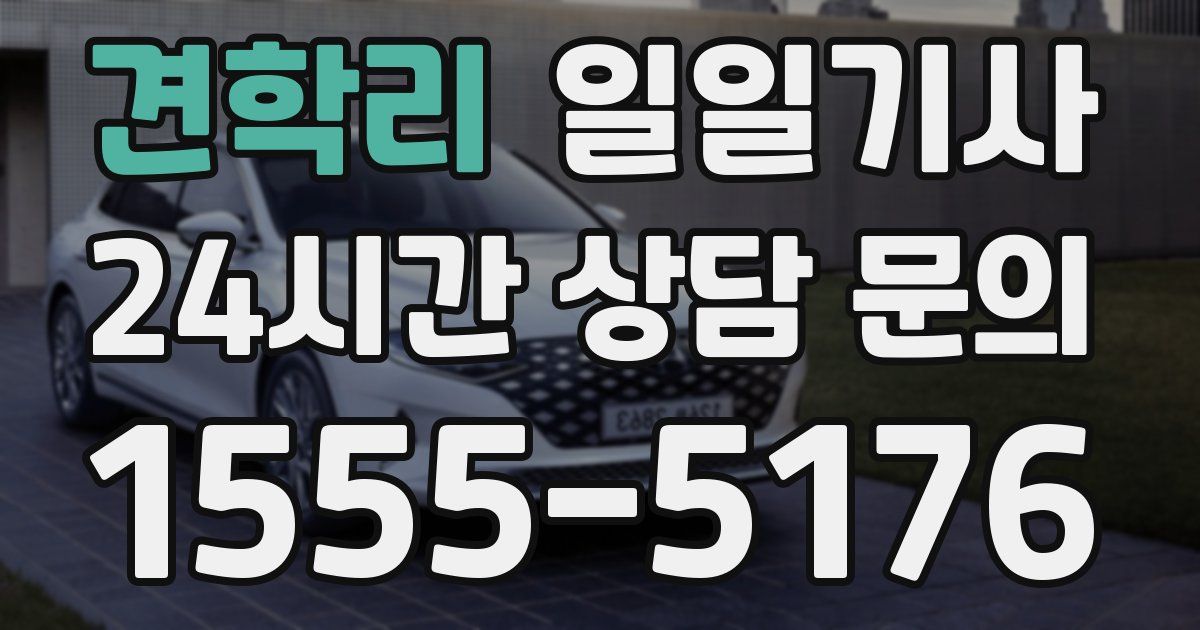 일일대리기사