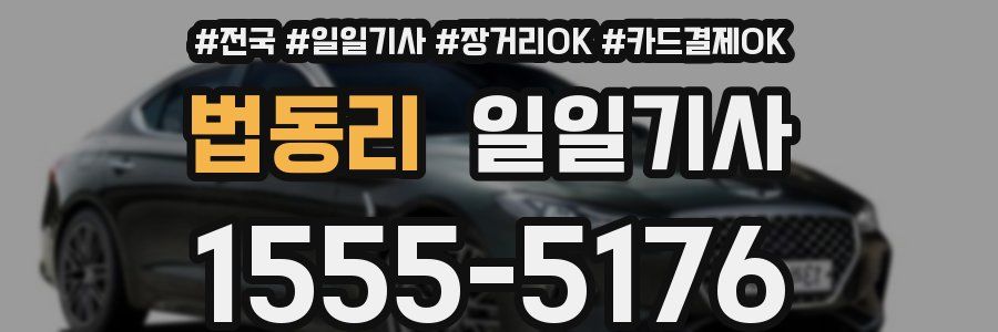 법동리 일일기사