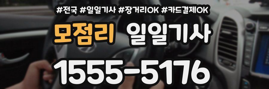 모점리 일일기사