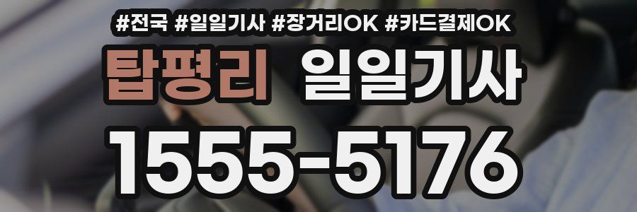 탑평리 일일기사