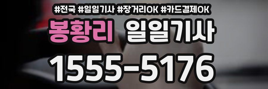 봉황리 일일기사