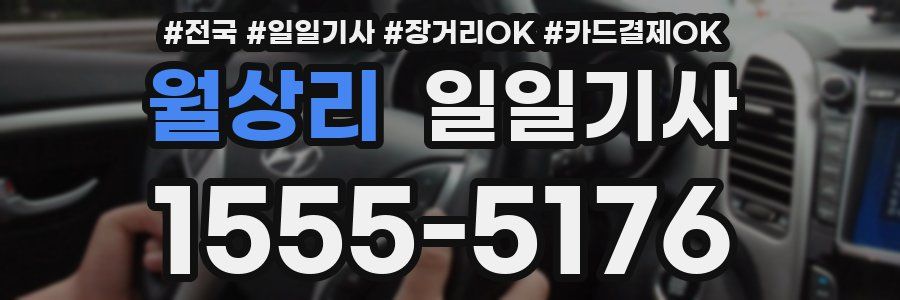 월상리 일일기사