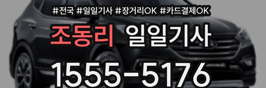 조동리 일일기사