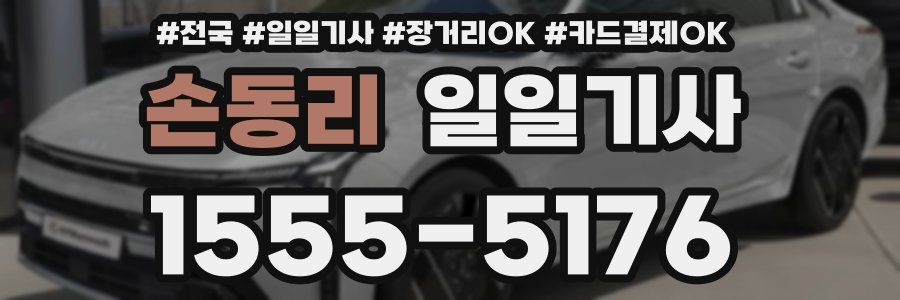 손동리 일일기사