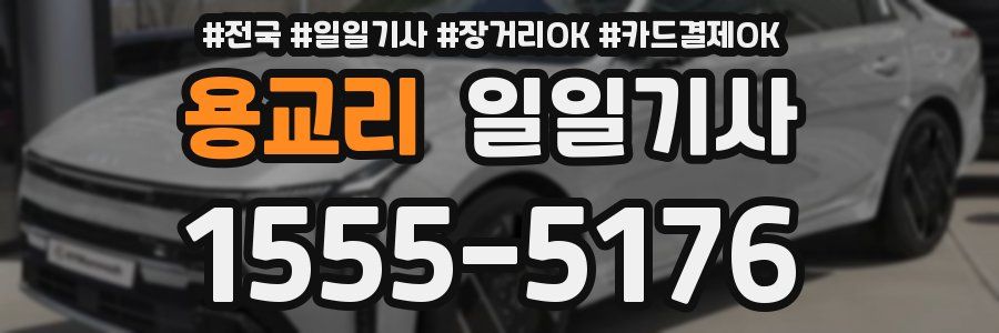 용교리 일일기사