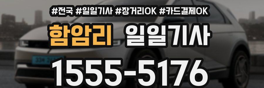 함암리 일일기사