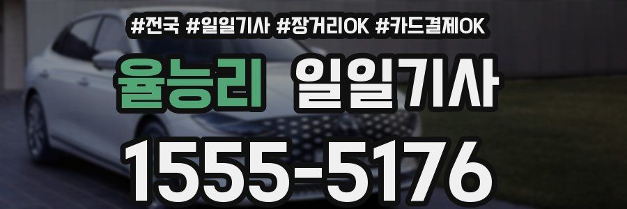 율능리 일일기사
