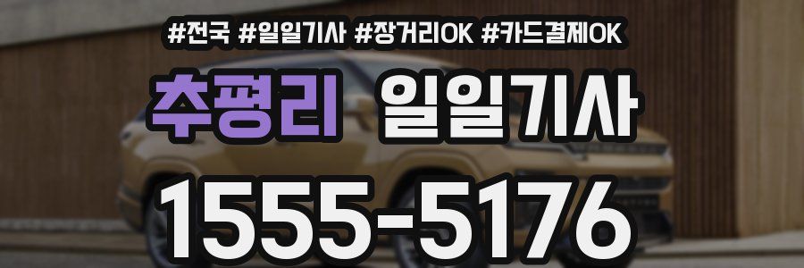 추평리 일일기사