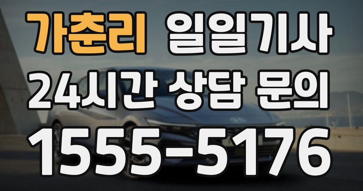 일일대리기사
