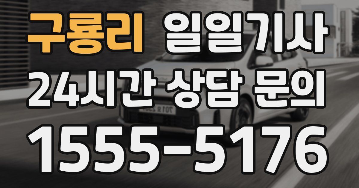 일일대리기사