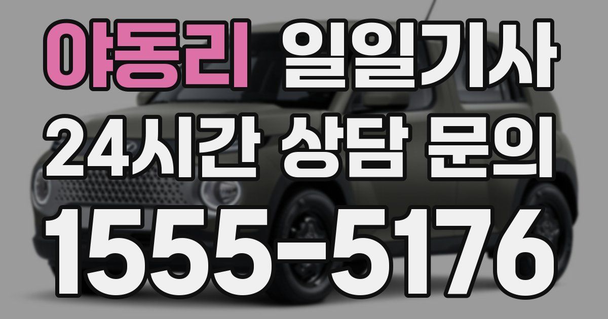 일일대리기사