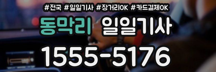 동막리 일일기사