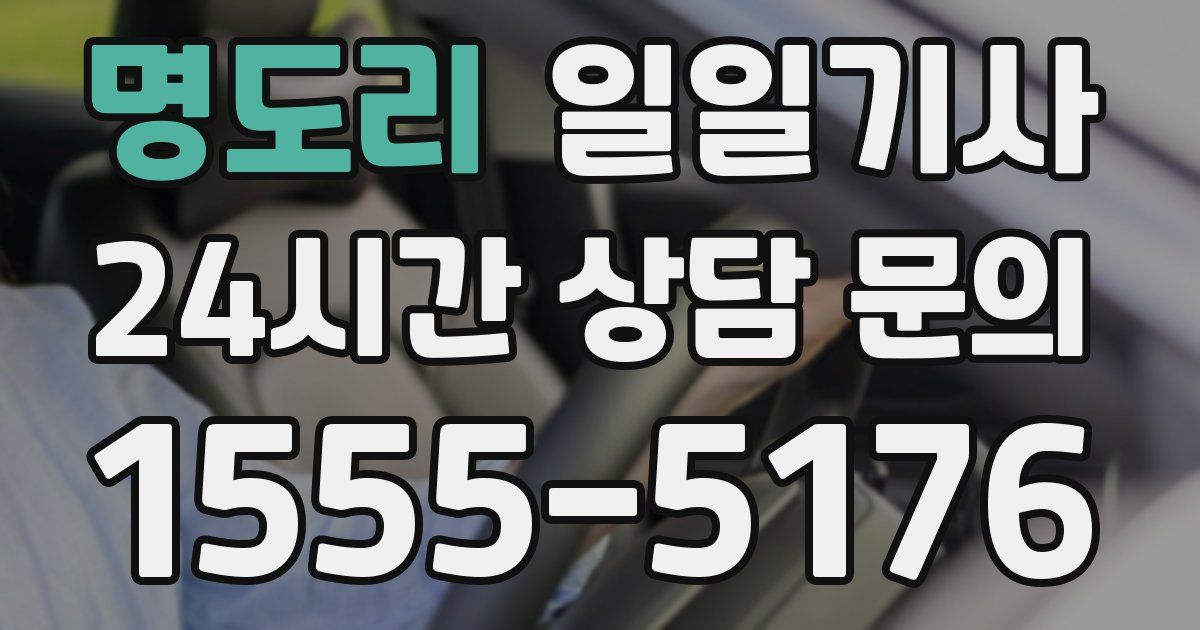 일일대리기사