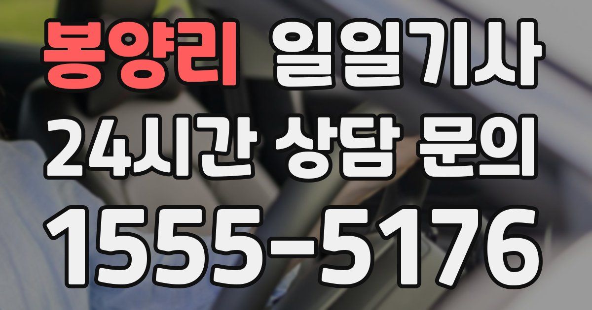 일일대리기사