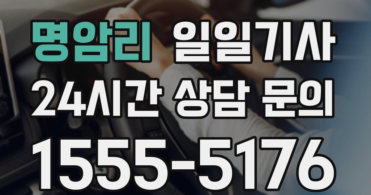 일일대리기사