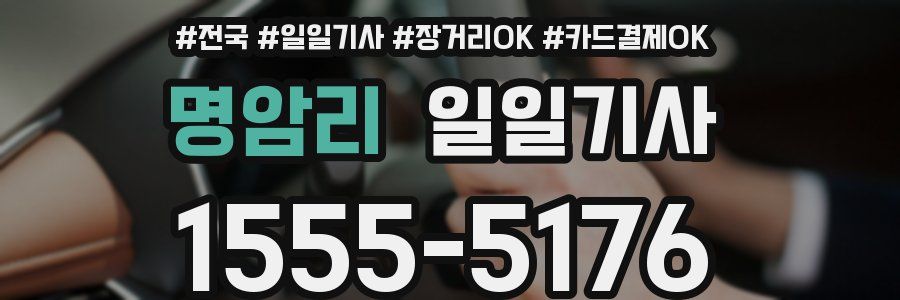 명암리 일일기사