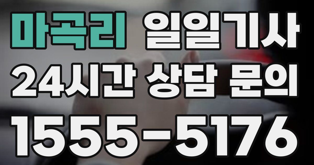 일일대리기사