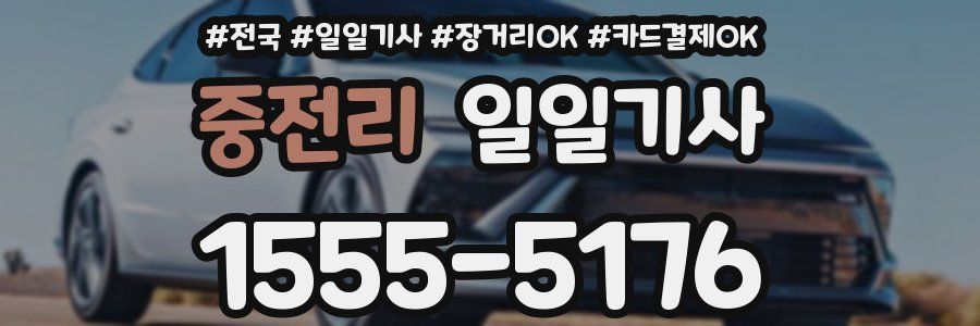 중전리 일일기사