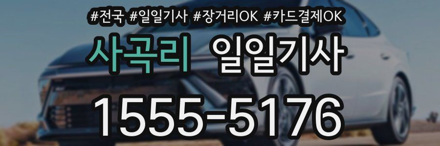 사곡리 일일기사