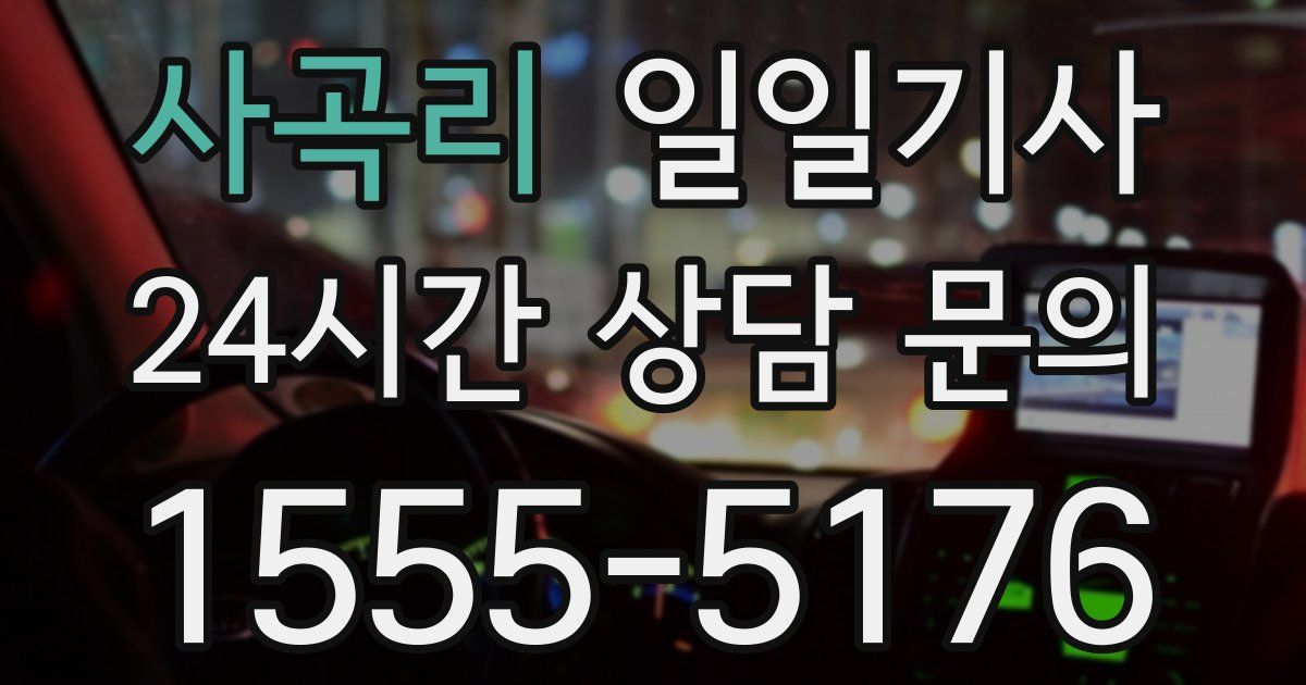 일일대리기사