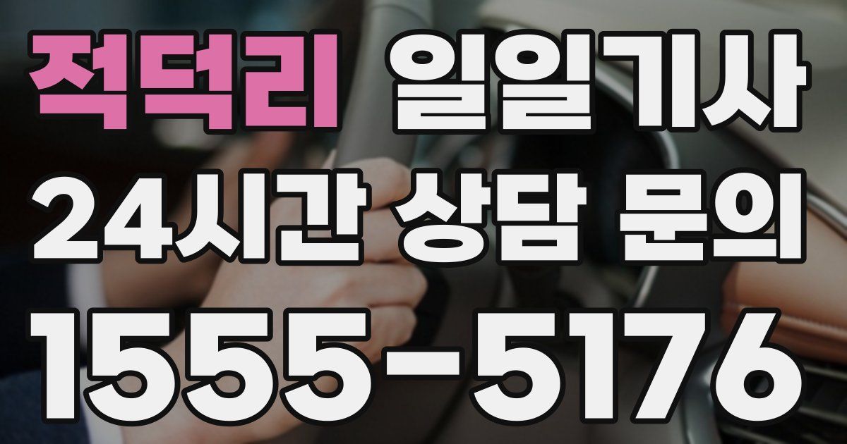 일일대리기사
