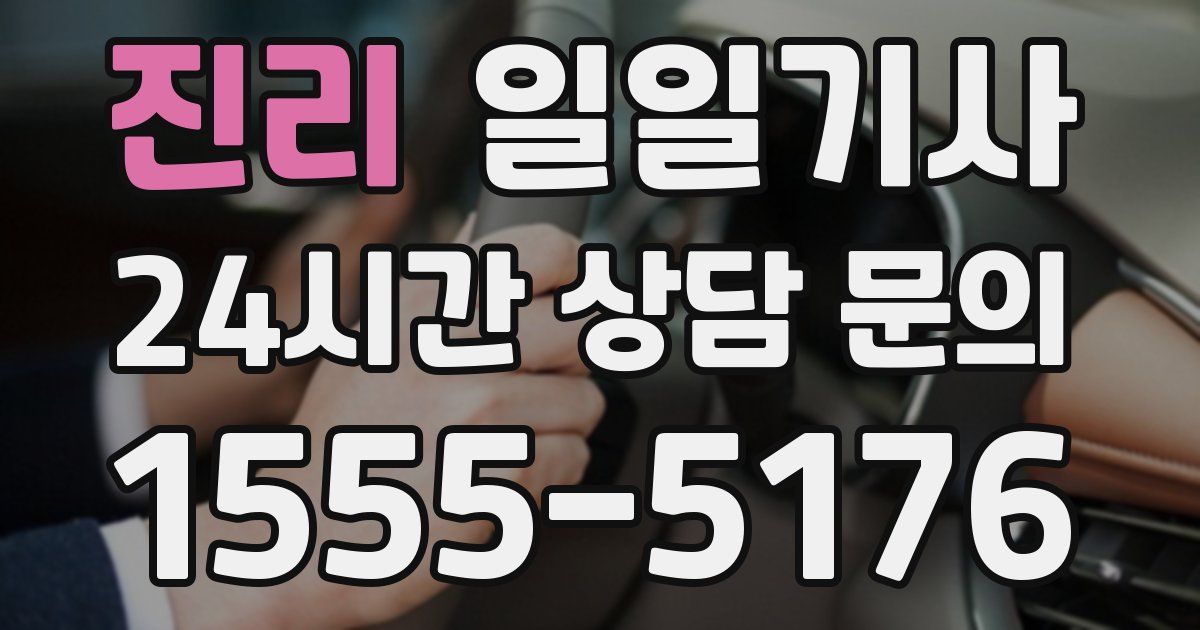 일일대리기사