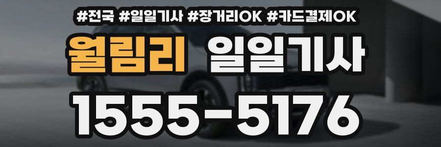 월림리 일일기사