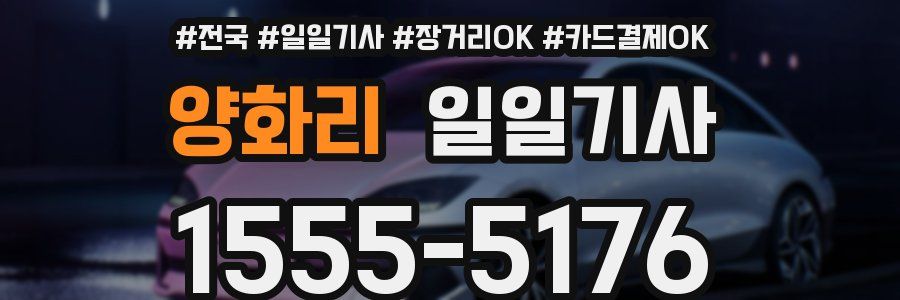 양화리 일일기사