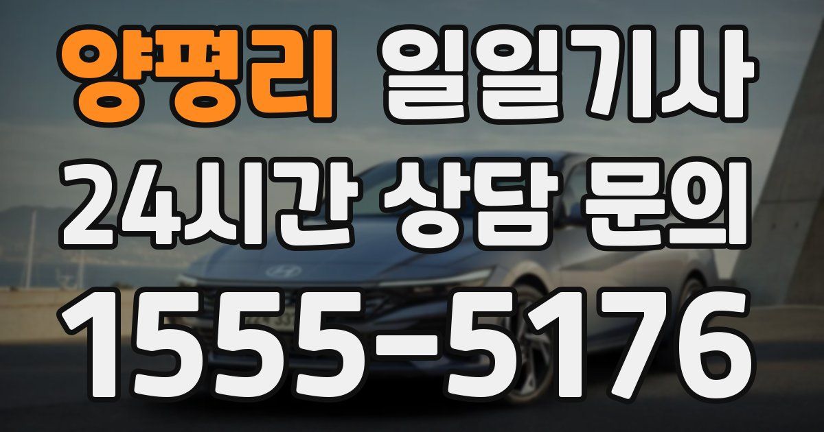 일일대리기사