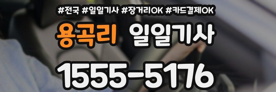 용곡리 일일기사