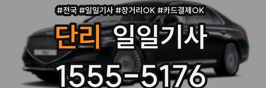 단리 일일기사
