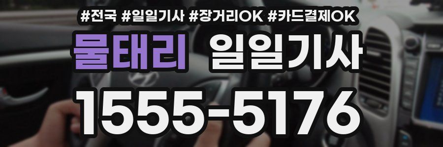 물태리 일일기사