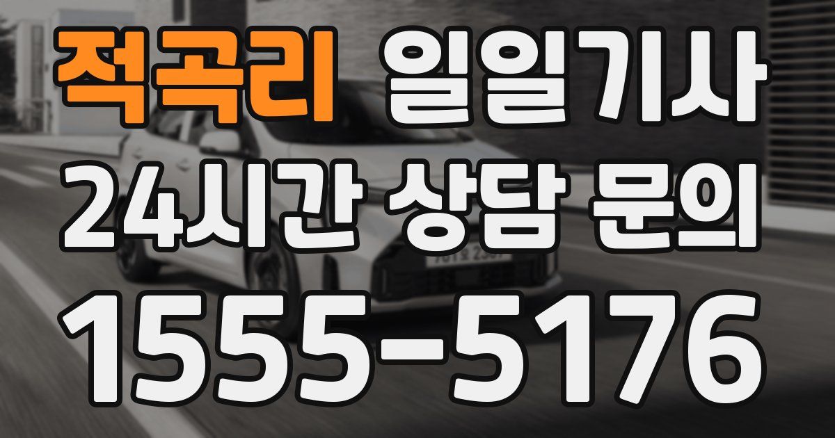 일일대리기사