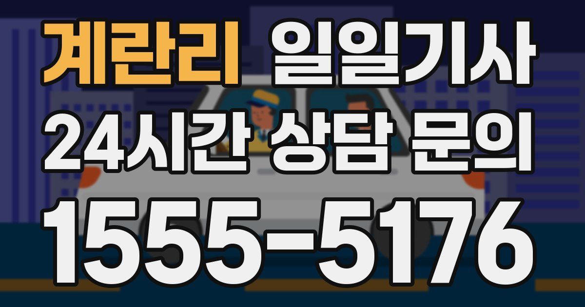 일일대리기사