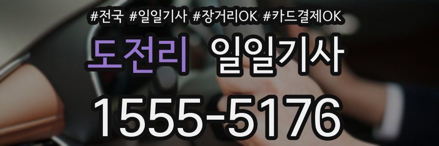 도전리 일일기사