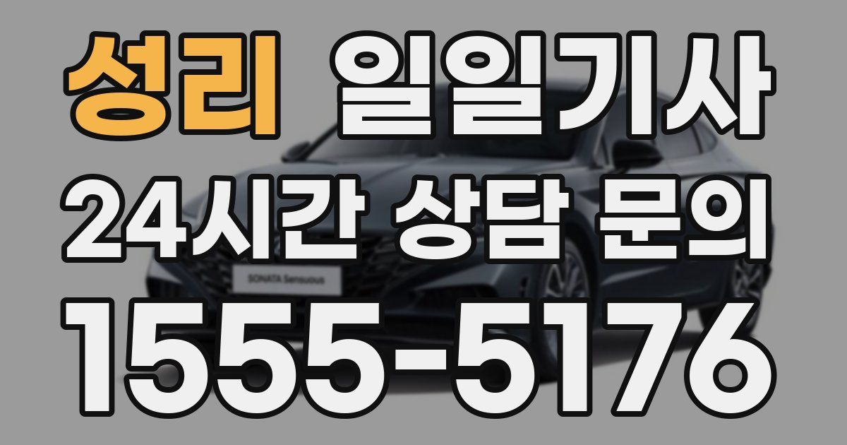 일일대리기사