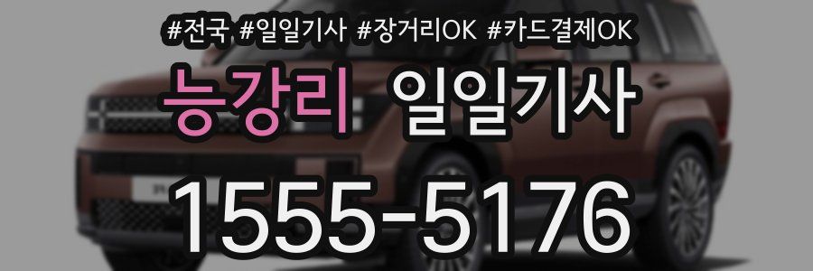 능강리 일일기사