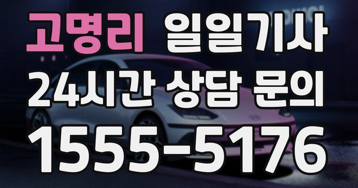 일일대리기사