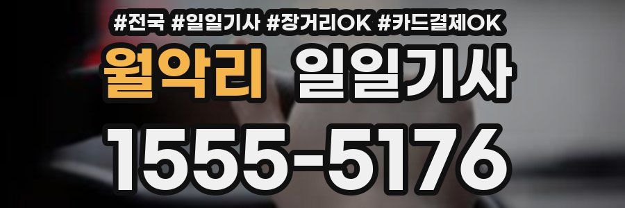 월악리 일일기사