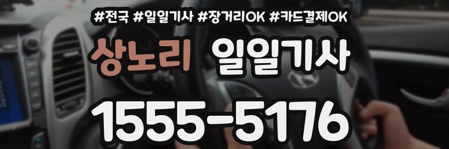 상노리 일일기사