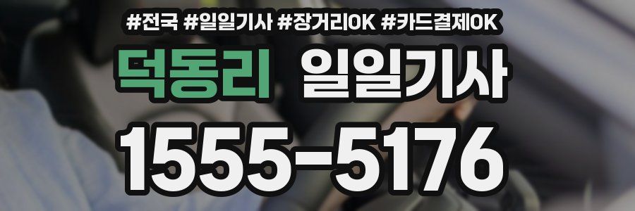 덕동리 일일기사