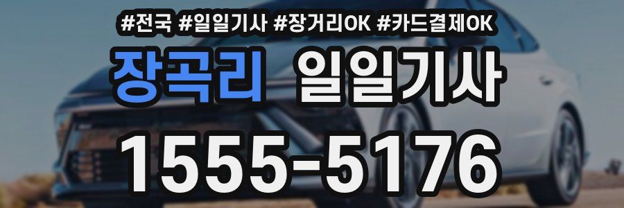 장곡리 일일기사