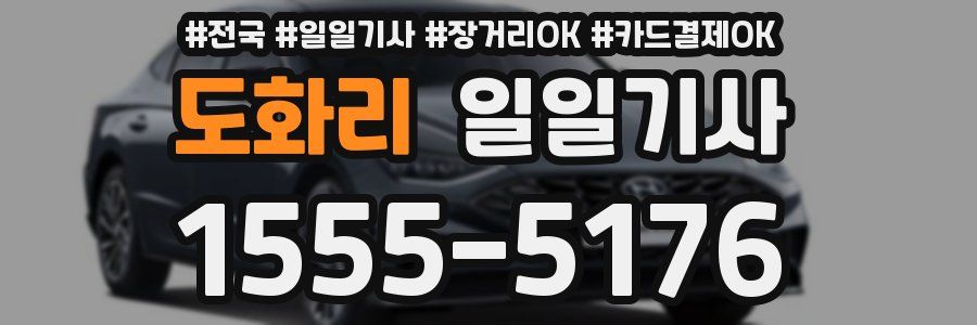 도화리 일일기사