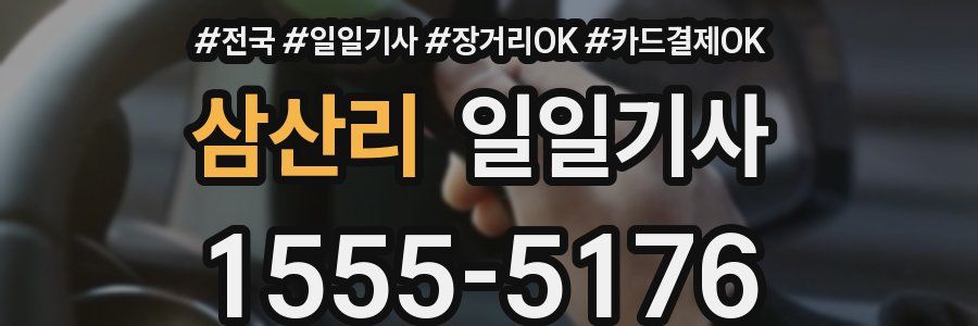 삼산리 일일기사