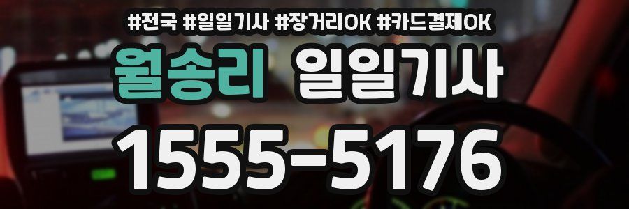 월송리 일일기사