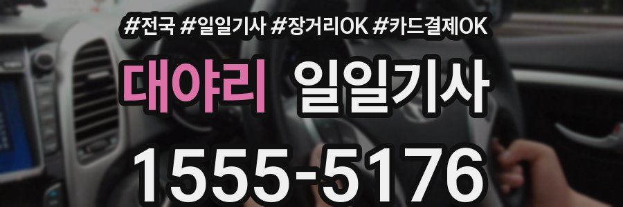 대야리 일일기사