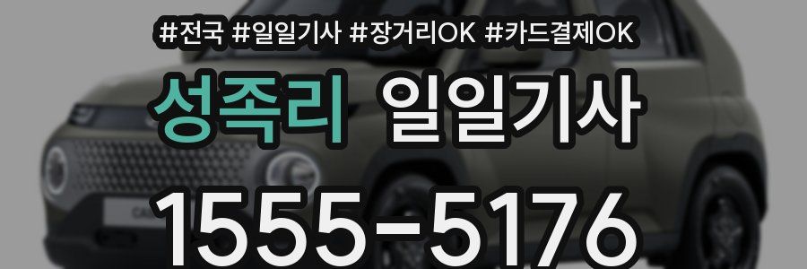 성족리 일일기사