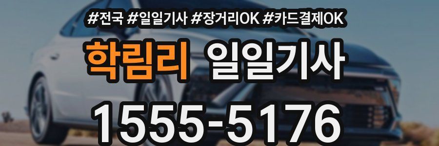 학림리 일일기사