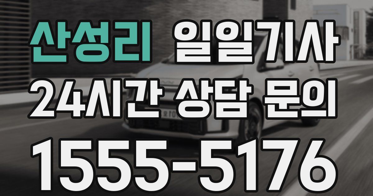 일일대리기사