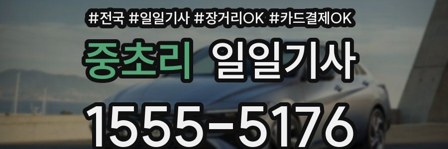 중초리 일일기사